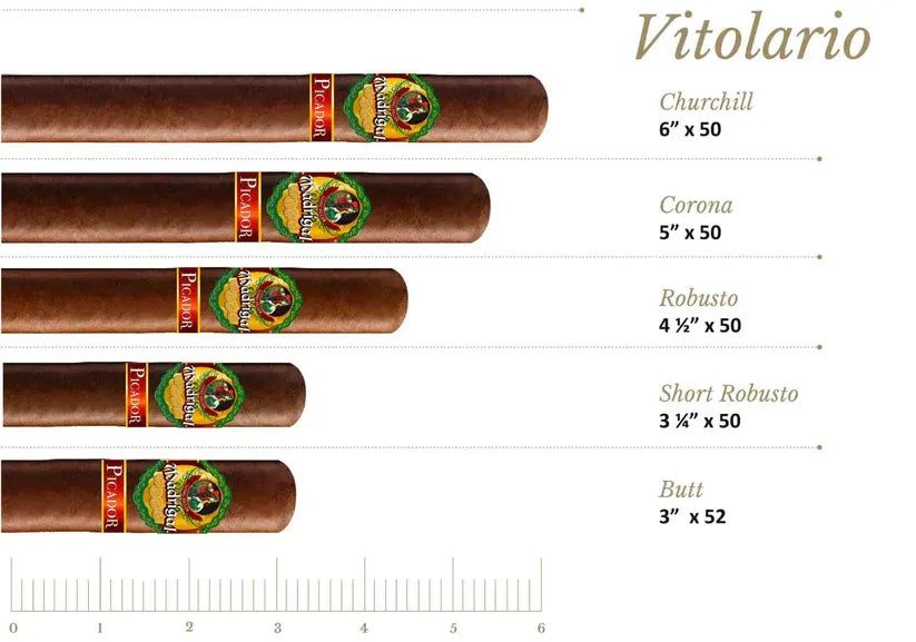 Vitolario cigars with their respective sizes and a ruler for scale on a white background.